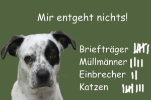 Einbrecher entgehen dem Hund auf dem Foto ebenso wenig wie Briefträger, Müllmänner oder Katzen. Der Hund sieht den Betrachter direkt an. Zur Überschrift "Mir entgeht nichts" gibt es eine Strichliste der vom Hund vertrieben Menschen und Tiere.