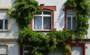 Einbruchschutz: Sichere Fenster
